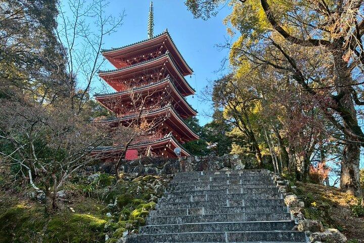 Privat Zen Sutra Kopiering Erfaring på Chikurin-ji Temple