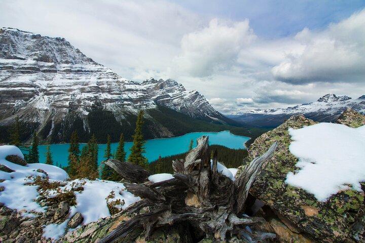 Columbia Icefield Skywalk Crowfoot Glacier und Seen Tour