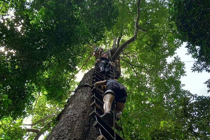 Fun Tree Top Zipline Aventura e desafio em Kanchanaburi