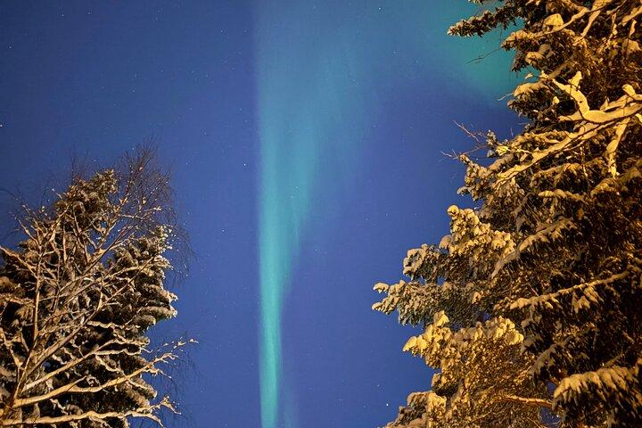 Fra Rovaniemi: Nordlys tur med campfire snacks