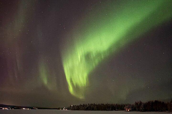 Fra Rovaniemi: Nordlys tur med campfire snacks