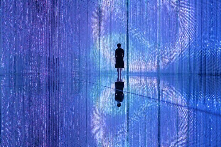 Team Lab Planets Tokyo Timed Entry Admission Ticket