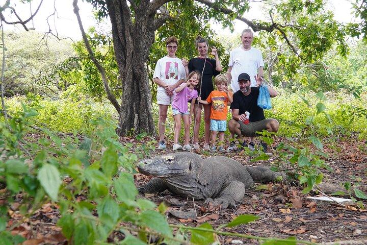Labuan Bajo Komodo Sailboat Multi Day Tour Package