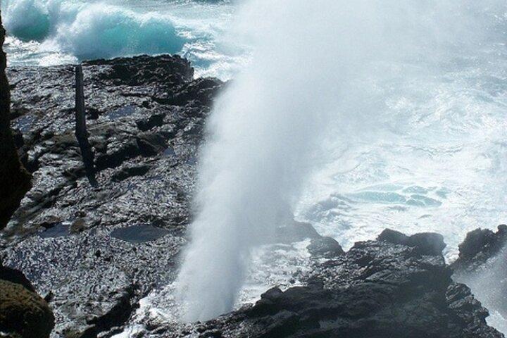 オアフ島:終日サークルアイランドツアー|ビーチストップ、無料WiFi&特典