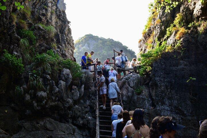 Phi Phi Cove Collector