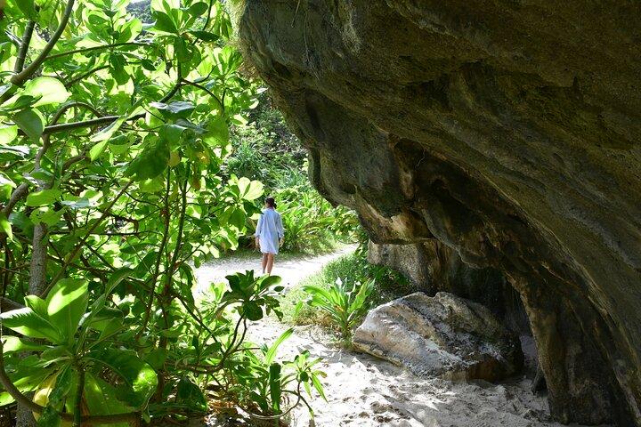 Phi Phi Cove Collector