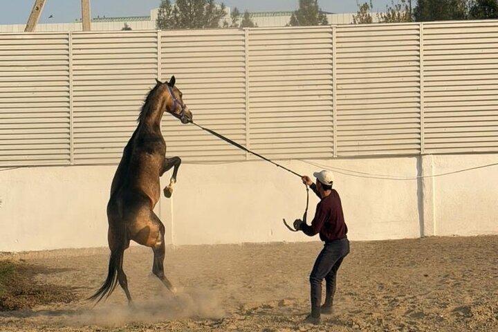 Arenas doradas y noches ardientes 3 días en Turkmenistán