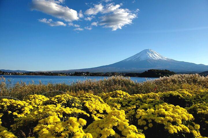 Tokyo, Monte Fuji, Kyoto e Nara/Tour privato di 6 giorni