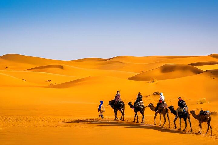 3 - Excursión de un día al desierto de Merzouga desde Marrakech con Camel Trek