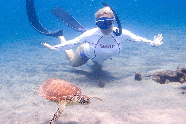 Tour guidato di snorkeling della baia di La Jolla con leoni marini e grotte marine