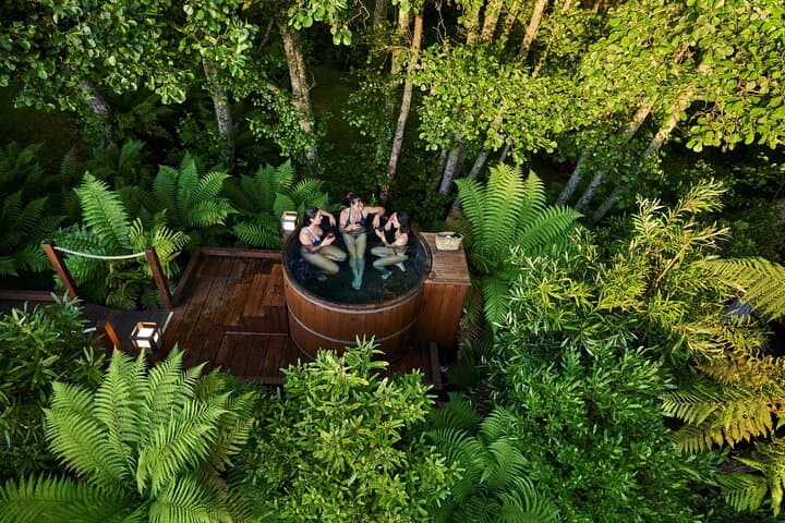 Rotorua Highlights Tour: Waiotapu, Hot Tubs & Lunch from Auckland