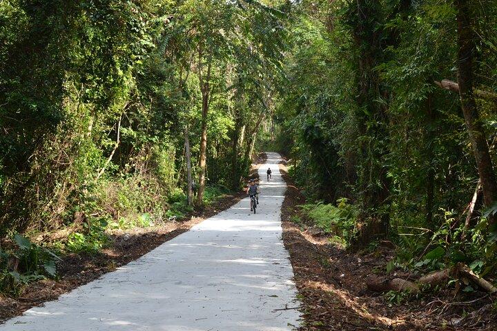 Cat Ba National Park Retiro de Ciclismo Reconectar com a Natureza
