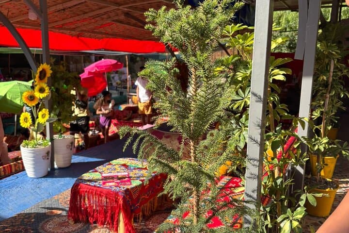 Ourika Valley Day Trip for Small Group and Private