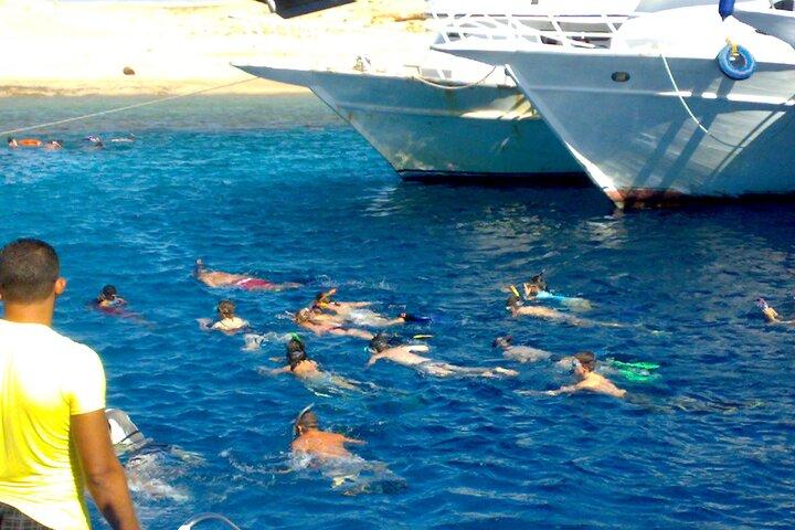 Ras Mohamed und White Island mit dem Boot von Sharm El Sheikh