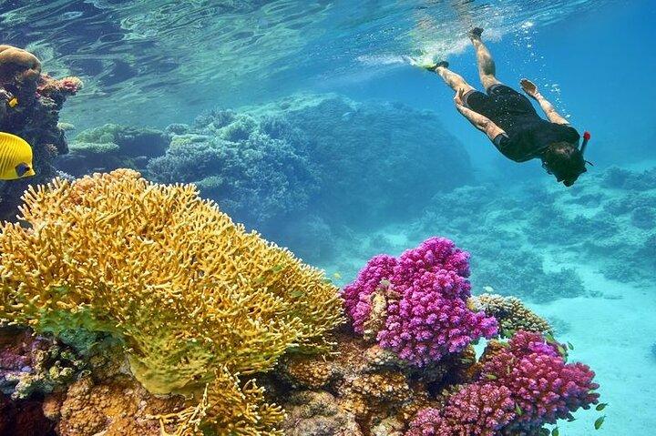 Buceo de día completo para principiantes en Hurghada