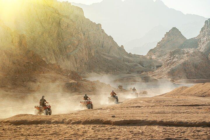 Charm El-Cheikh : Quad VTT, promenade à dos de chameau, dîner barbecue et spectacle