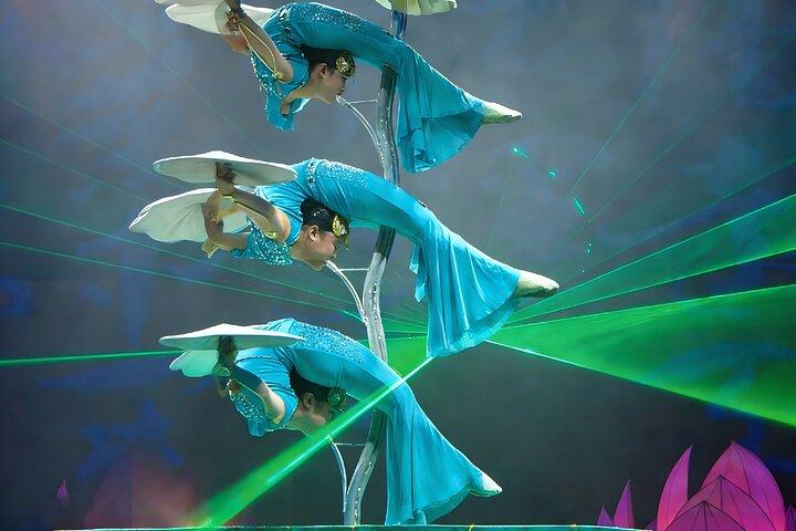 Visite privée : Tian'anmen square&Forbidden City avec spectacle acrobatique