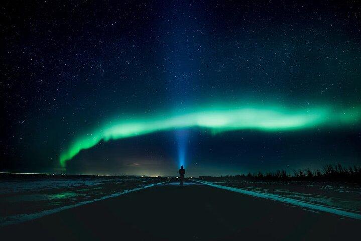 Reykjavik Northern Lights Unlimited Tour mit Eintritt ins Aurora Center