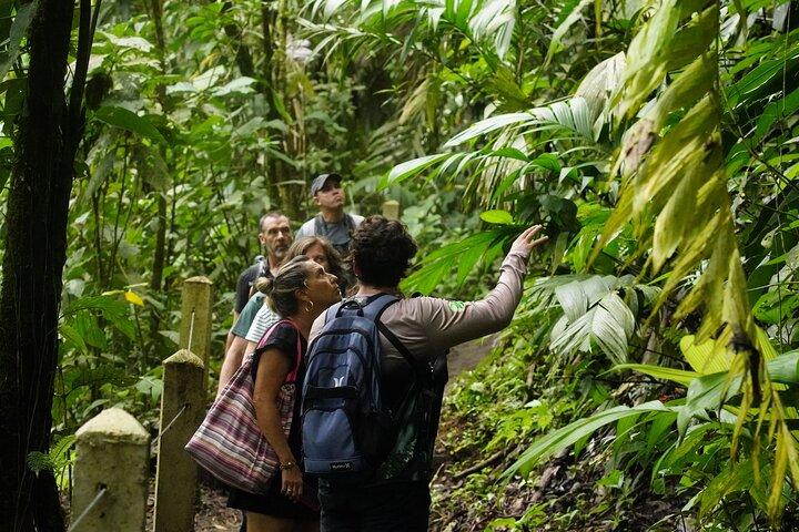 Geführte Wanderung zum Vulkan Arenal – Lavapfade & Regenwald