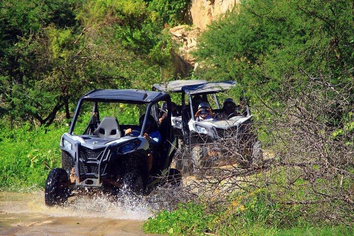 Hoteller i nærheden af Cabo Candelaria Village Double UTV Adventure