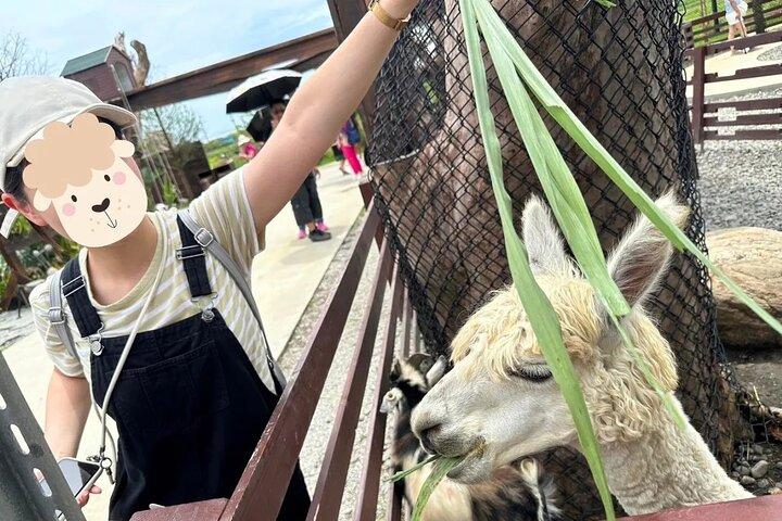 Hoteller i nærheden af Yilan Day Animal Farm