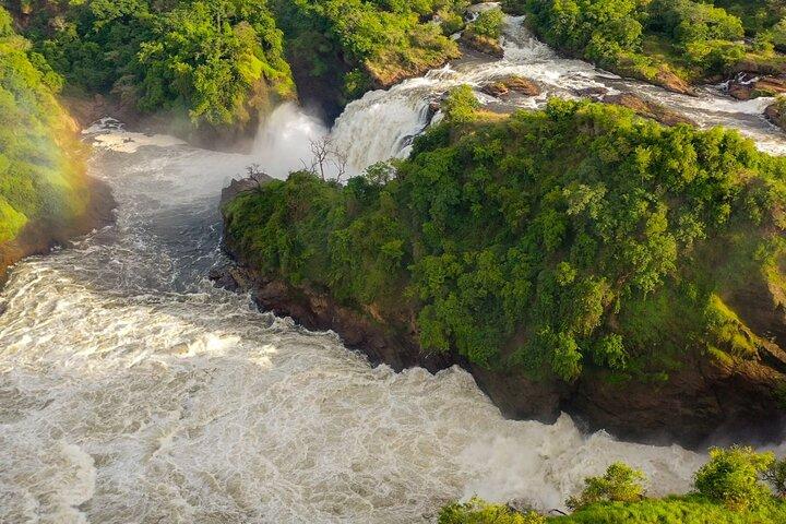 5 - Dia Uganda Safari: Explorando Murchison Falls & Chimps Tracking