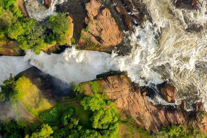 5 - Dia Uganda Safari: Explorando Murchison Falls & Chimps Tracking