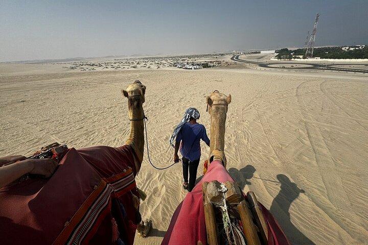 Doha Desert Safari met Dune Buggy Ride, Dune Bashing & Sea Visit