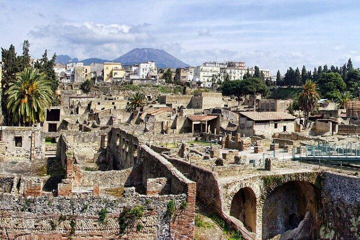 Tour de Pompeia e Herculano de Sorrento com bilhetes e almoço