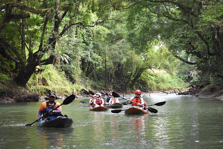 Peñas Blancas River : Wildlife Safari Experience by Kayak