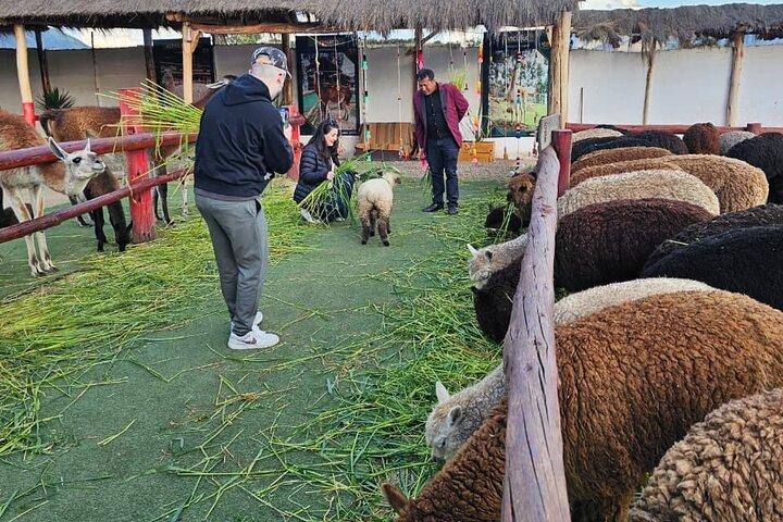 Sacred Valley Tour vanuit Cusco - VIP-ervaring