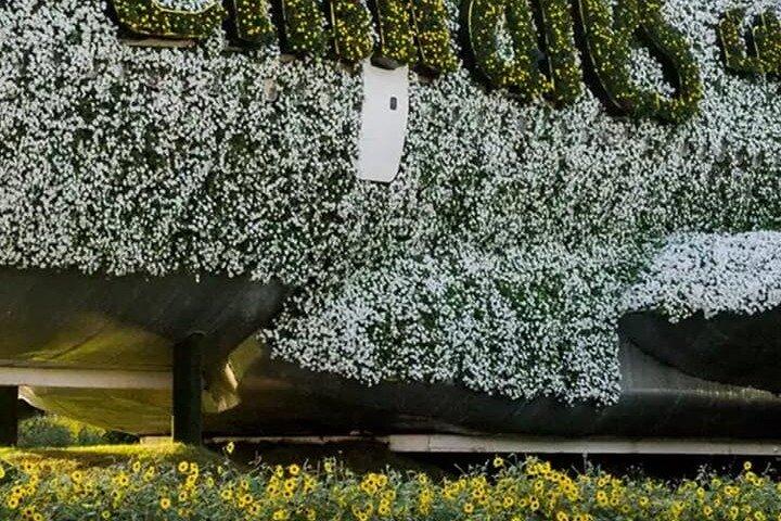 Dubai Miracle Garden – das größte Blumenwunderland der Welt