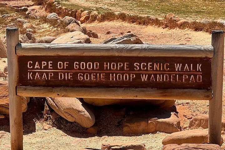 Cape of Good Hope Cape Point and Penguins Private Tour Cape Town