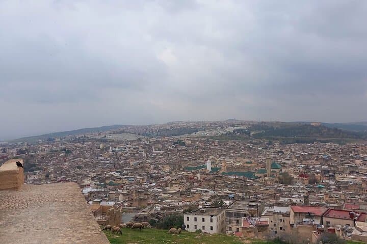Fez guided tour/Visite guidée de Fès/Fez Führung/Visita guiadaFez