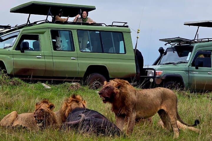 3 Days PRIVATE Maasai Mara Family/ Couple/ Honeymoon Adventure