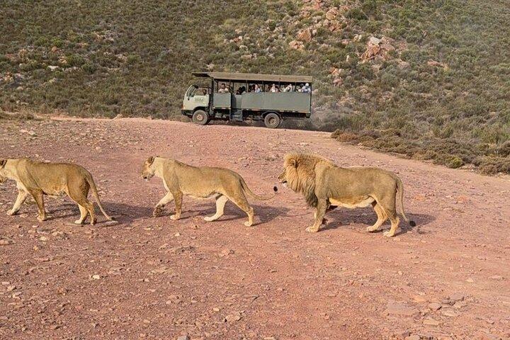 Aquil big five Sunset safari longa marcha para o museu da liberdade