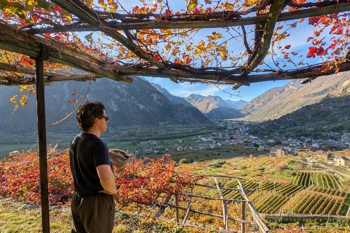Con Edo - Le Strade del Vino Dimenticate del Piemonte · Da Torino
