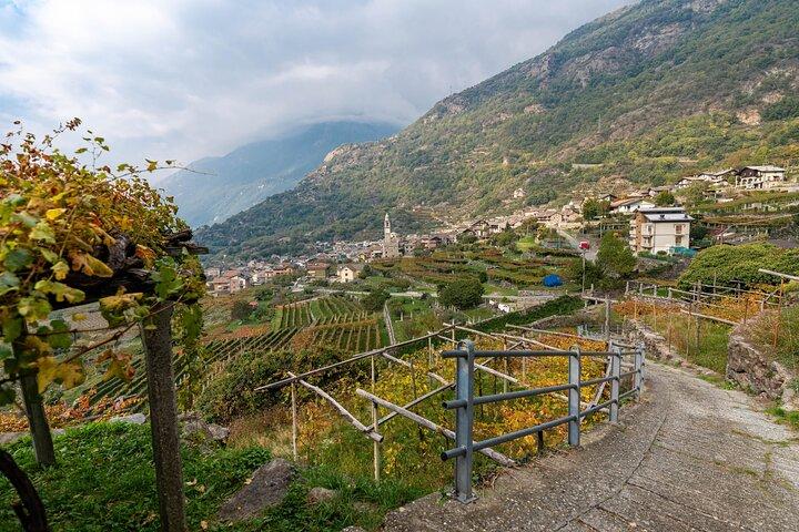 Con Edo - Le Strade del Vino Dimenticate del Piemonte · Da Torino