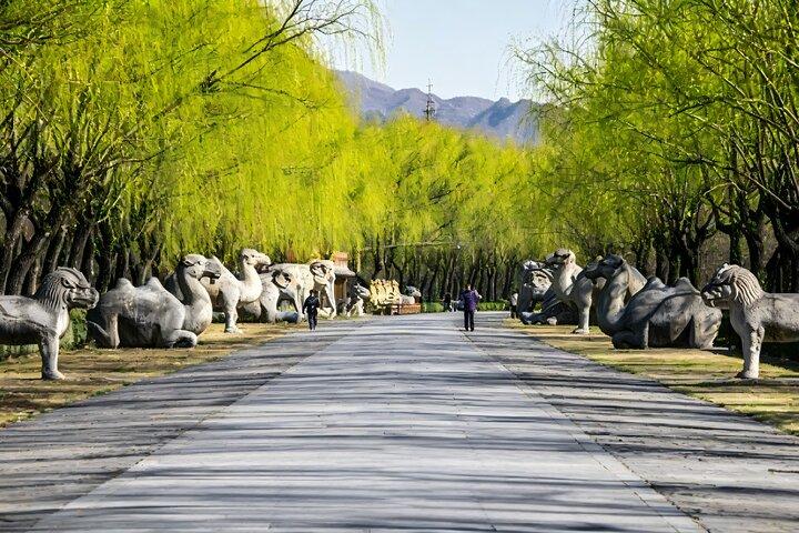 Visita em profundidade de Ming Tombs: Sacred Way, Dingling e Changling