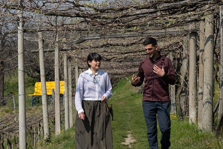 Con Edo - Le Strade del Vino Dimenticate del Piemonte · Da Torino