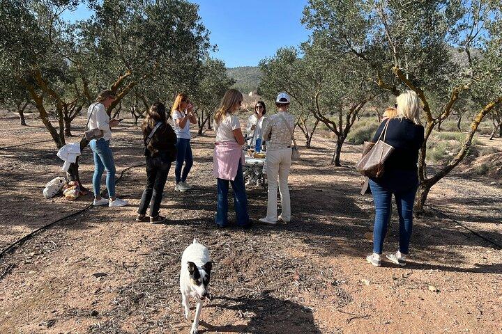 Alicante Excursion d'une journée complète Deux vignobles et dégustations