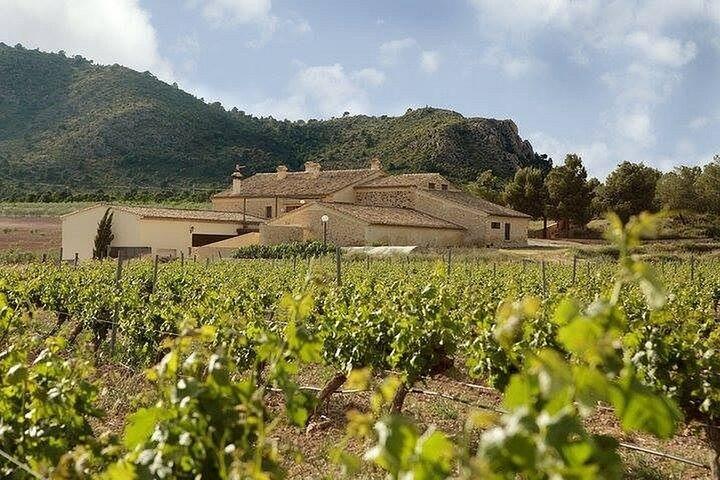 Alicante Excursion d'une journée complète Deux vignobles et dégustations