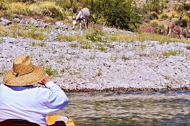 Lake Pleasant Sunrise Kayak Tour perto de Phoenix