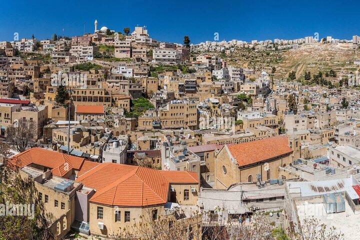Tour di un'intera giornata a Salt City da Amman