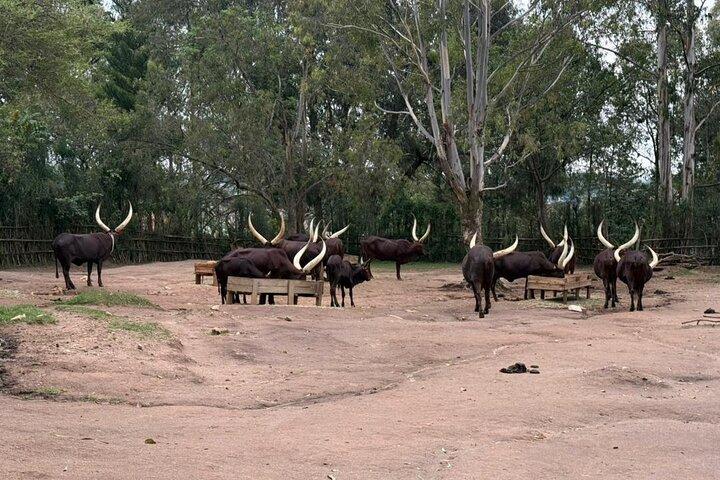 Ruanda Eintägige Keramik Kulturtour ab Kigali