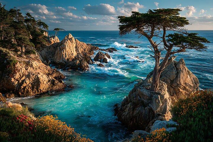 Privado Big Sur e Carmel Scenic Drive de São José