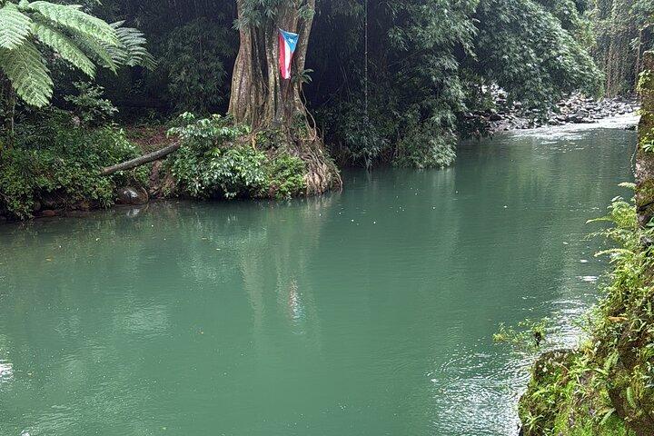 Besuchen Sie den El Yunque National Forest