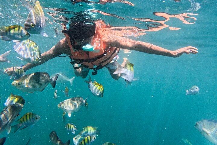 Avventura locale: snorkeling a Majahuitas e una giornata di relax in spiaggia