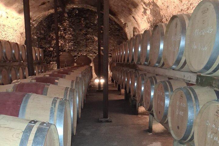Inside Châteauneuf-du-Pape : A Wine Experience