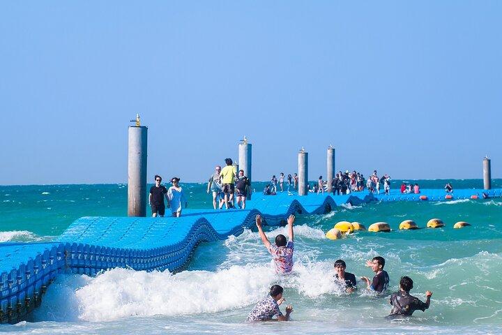 スピードボートで行くコーラル島:島へ直行、途中下車なし!